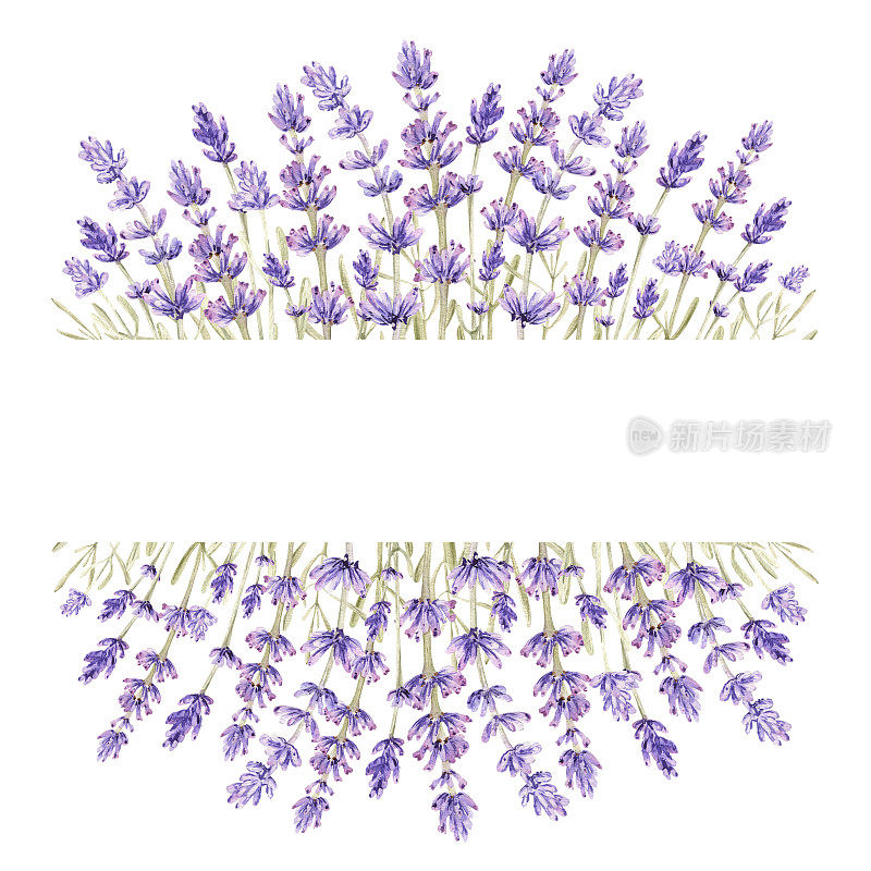 Watercolor lavender floral frame